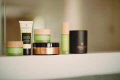 BODYCARE - ZEALOTS OF NATURE 