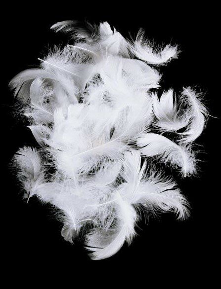 EENDEN DONZEN DEKBEDDEN 